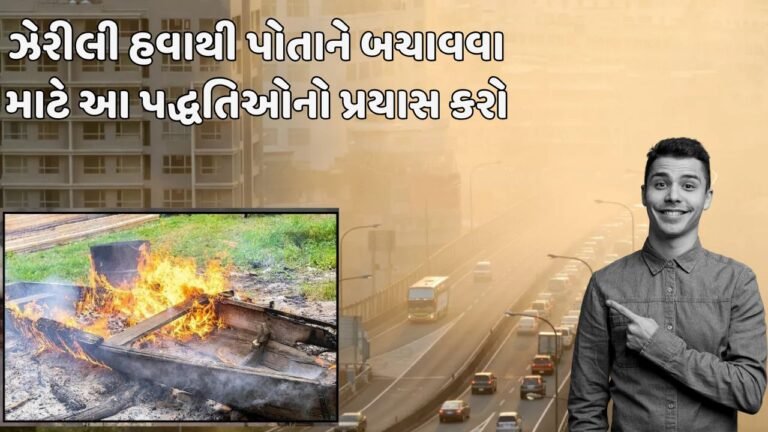 ઝેરીલી હવાથી પોતાને બચાવવા માટે આ પદ્ધતિઓનો પ્રયાસ કરો