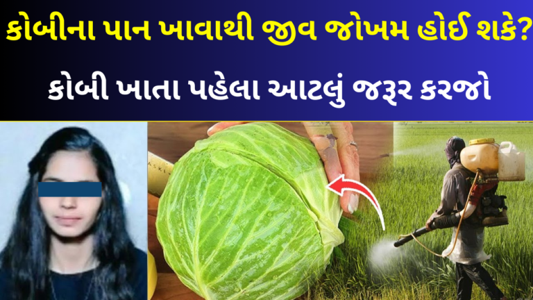 કોબી ખાતા પહેલા આટલું જરૂર કરજો