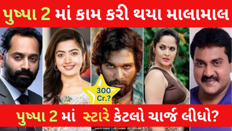 પુષ્પા 2 માટે સ્ટાર્સે કેટલી ફી વસૂલી?
