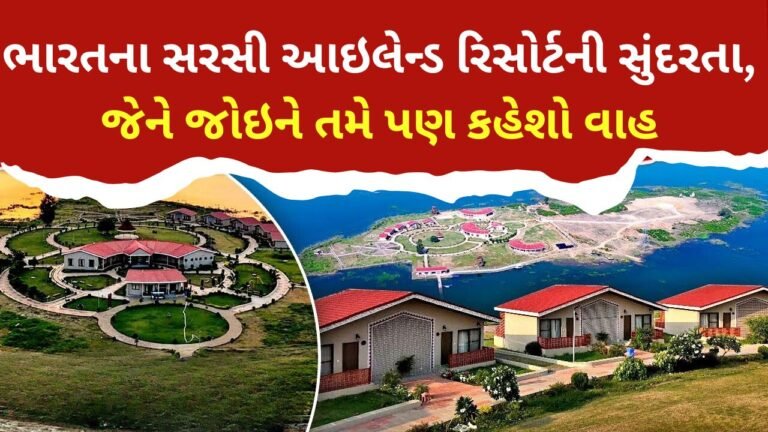 ભારતના સરસી આઇલેન્ડ રિસોર્ટની સુંદરતા, જે શ્રેષ્ઠ પર્યટન સ્થળ બની ગયું છે.