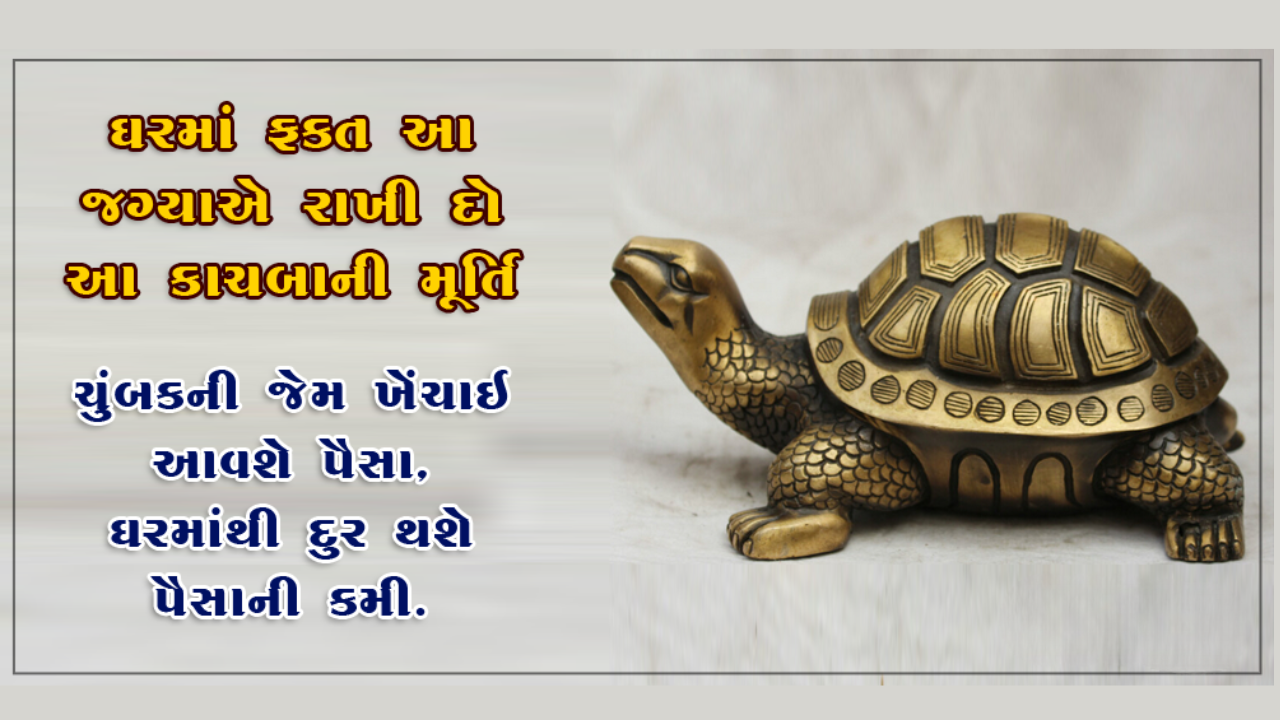 ઘરમાં કાચબો રાખવા થી થઇ જશો માલામાલ ઘરમાં કાચબો રાખવા થી થઇ જશો માલામાલ