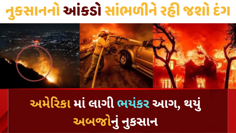 અમેરિકા માં લાગી ભયંકર આગ, થયું અબજોનું નુકસાન
