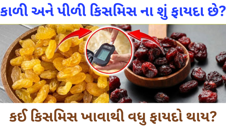 કાળી અને પીળી કિસમિસ ના શું શું ફાયદા છે?