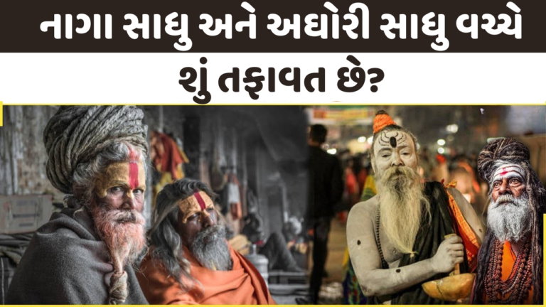 નાગા સાધુ અને અઘોરી સાધુ વચ્ચે શું તફાવત છે?