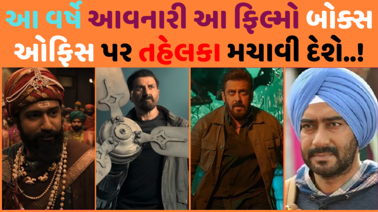 આ વર્ષે આવનારી આ ફિલ્મો બોક્સ ઓફિસ પર તહેલકા મચાવી દેશે..!