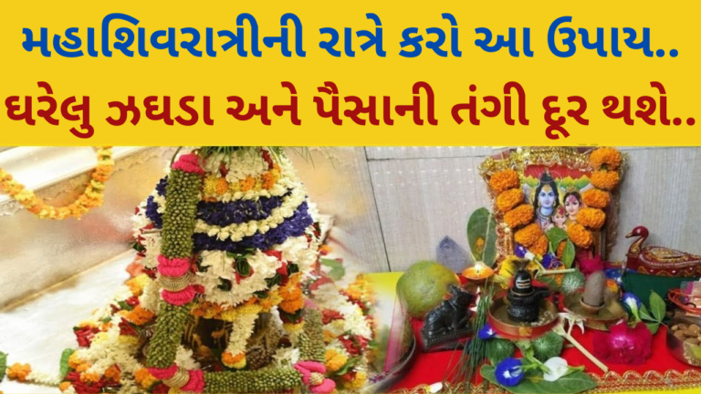 મહાશિવરાત્રીની રાત્રે કરો આ ઉપાય, ઘરેલુ ઝઘડા અને પૈસાની તંગી દૂર થશે..!