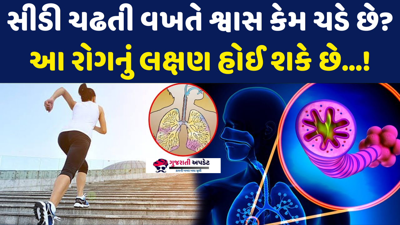 સીડી ચઢતી વખતે શ્વાસ કેમ ચડે છે? આ રોગનું લક્ષણ હોઈ શકે છે…! સીડી ચઢતી વખતે શ્વાસ કેમ ચડે છે? આ રોગનું લક્ષણ હોઈ શકે છે…!