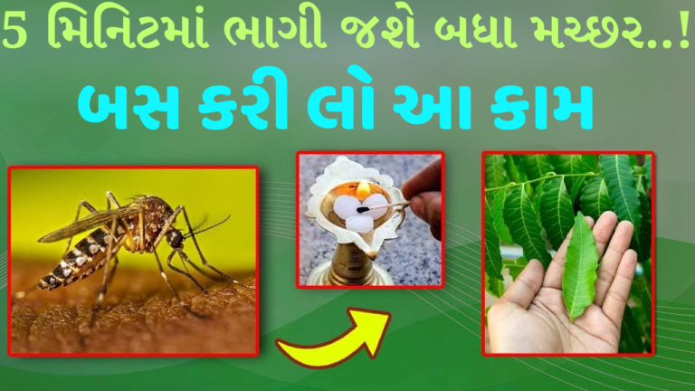 મચ્છરોથી છુટકારો મેળવવા માટે ઘરેલું ઉપાયો