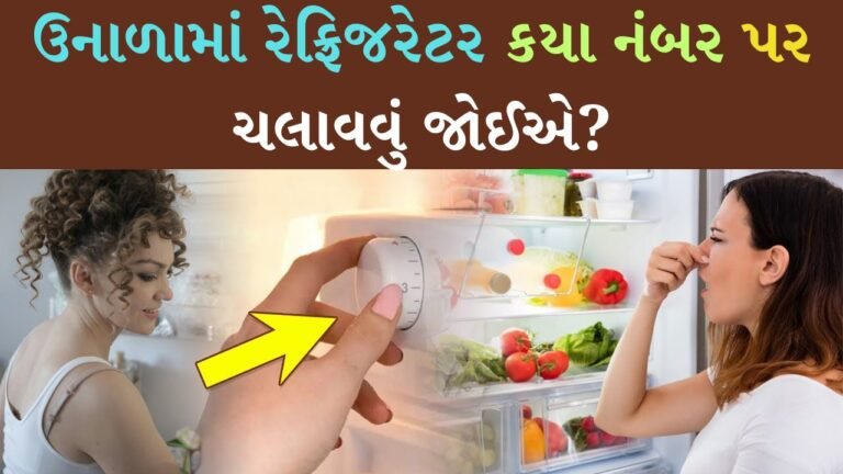 ઉનાળામાં રેફ્રિજરેટર કયા નંબર પર ચલાવવું જોઈએ?