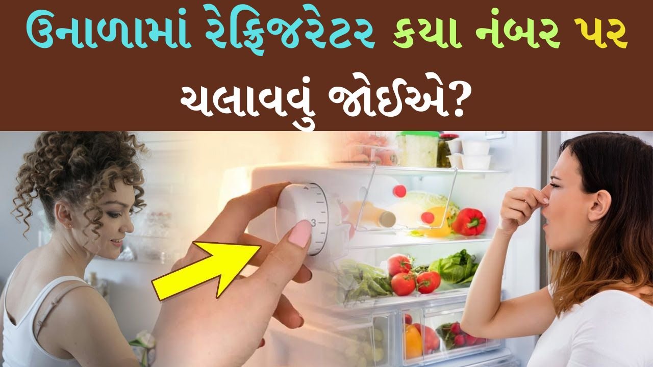 ઉનાળામાં રેફ્રિજરેટર કયા નંબર પર ચલાવવું જોઈએ? ઉનાળામાં રેફ્રિજરેટર કયા નંબર પર ચલાવવું જોઈએ?