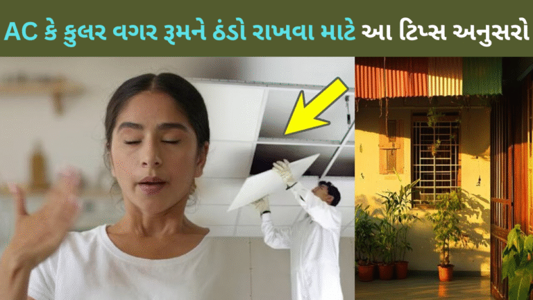 એસી કે કુલર વગર રૂમને ઠંડો રાખવા માટે આ ટિપ્સ અનુસરો