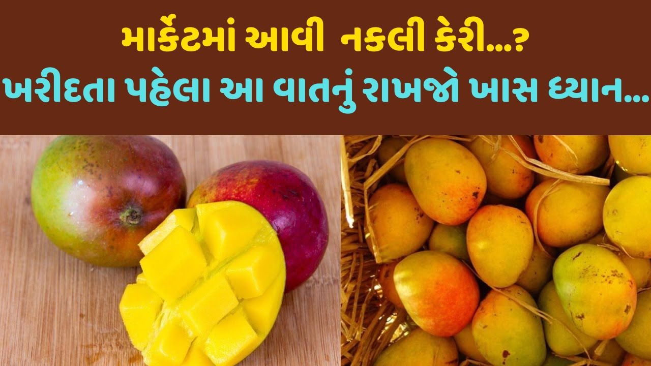 માર્કેટમાં આવી નકલી કેરી…? ખરીદતા પહેલા આ વાતનું રાખજો ખાસ ધ્યાન…