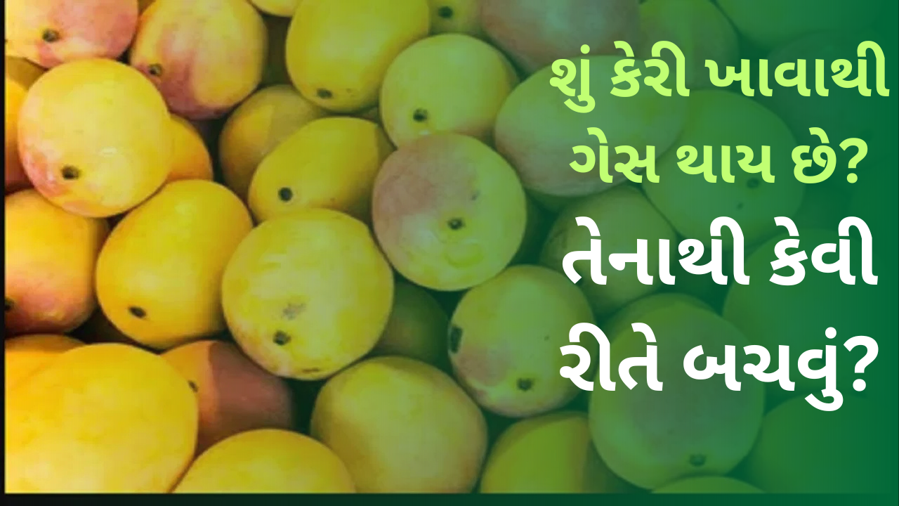 શું કેરી ખાવાથી ગેસ થાય છે? અને તેનાથી કેવી રીતે બચવું?